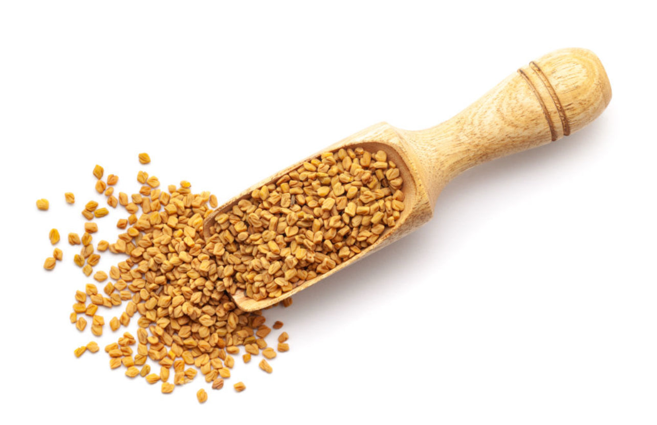 Fenugreek الحلبة