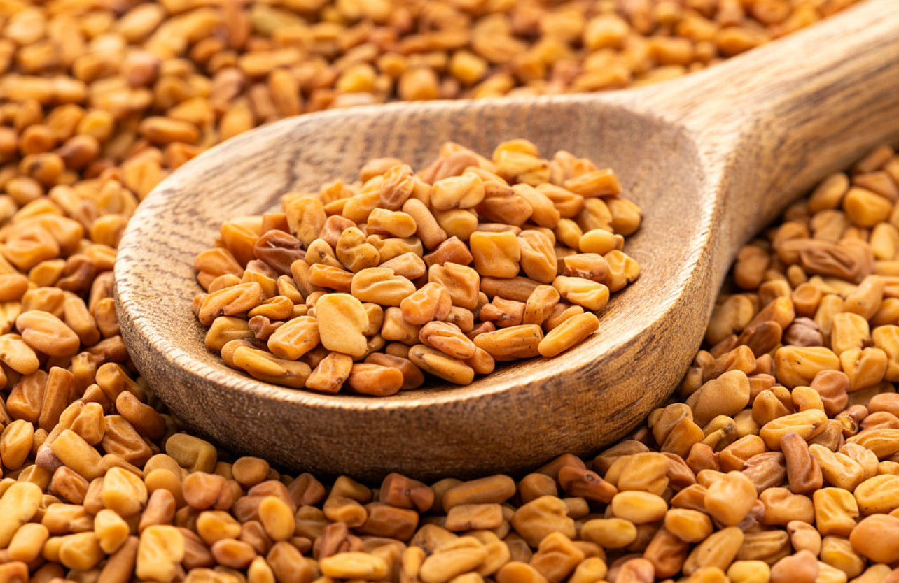 Fenugreek الحلبة