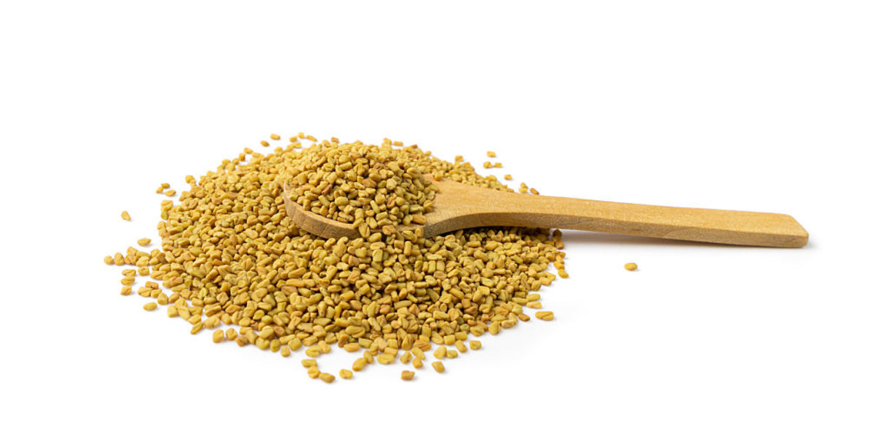 Fenugreek الحلبة
