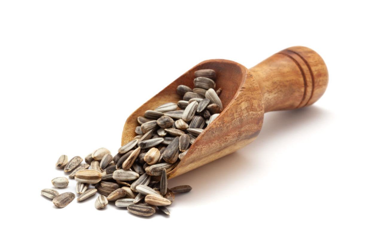 salted Sunflower seeds