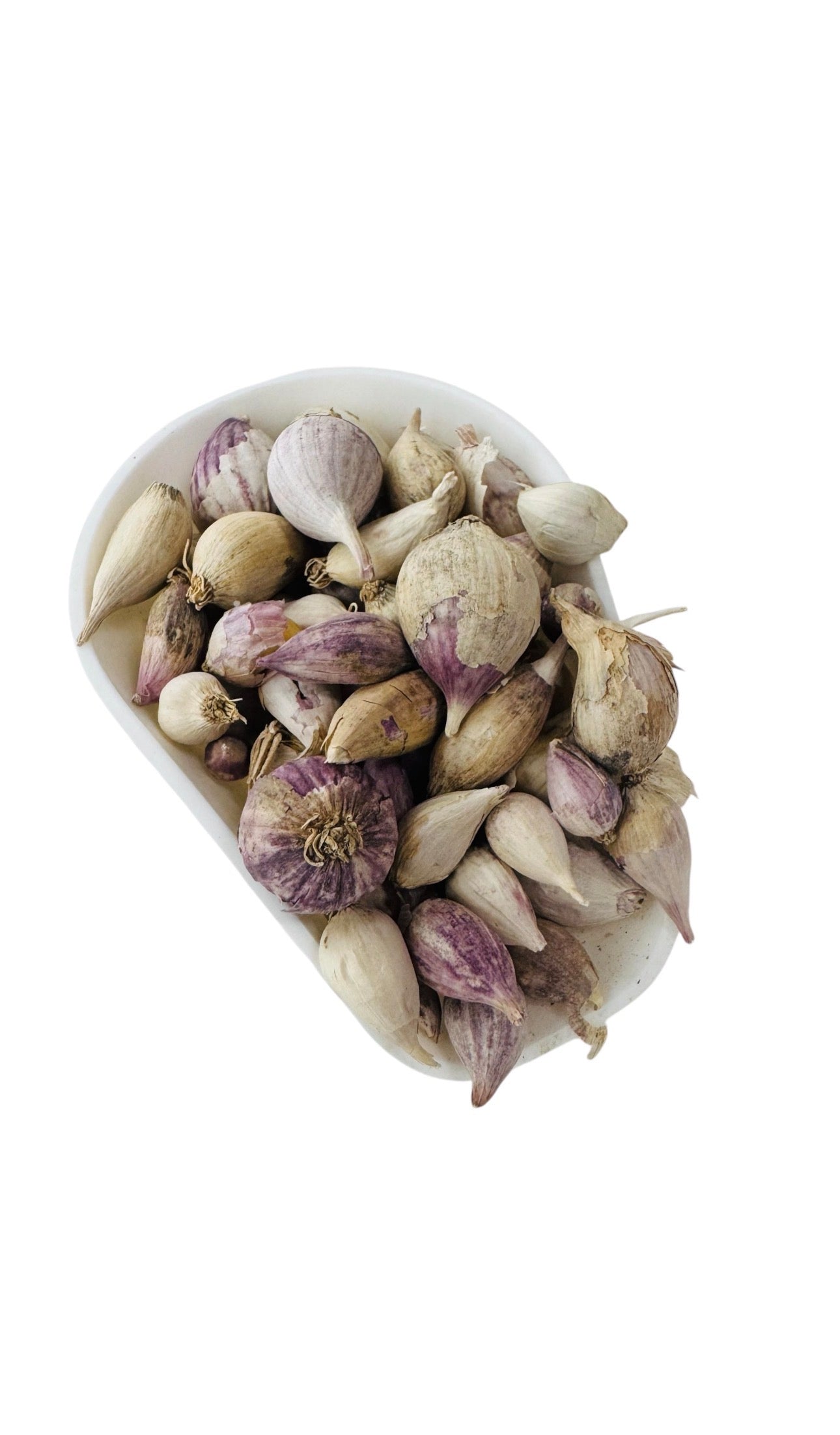 Solo garlic 1 LB ثوم ذكر