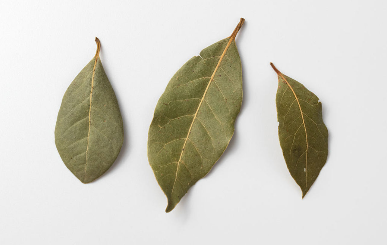 Bay Leaves  أوراق الغار